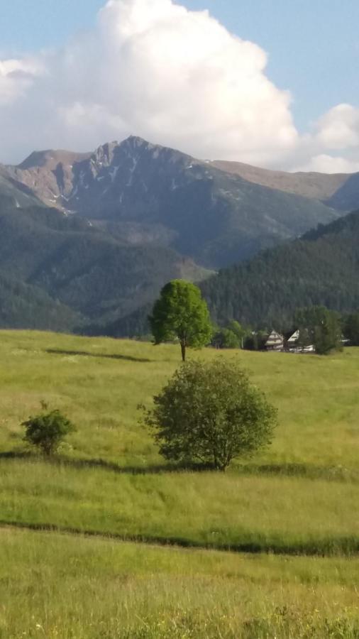 Domek Pod Ubocom Zakopane Exteriér fotografie